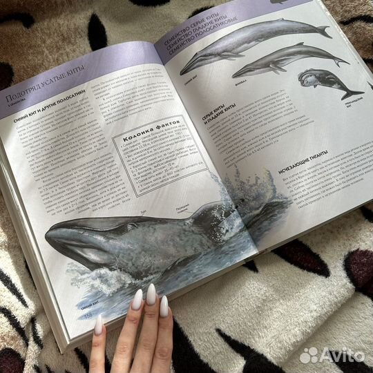 Животные: Полная Энциклопедия / эксмо, 2010г