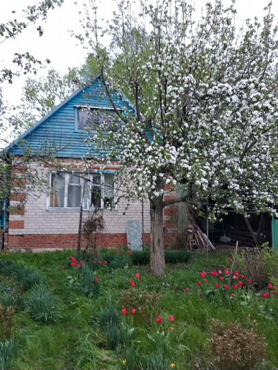 Дача 40 м² на участке 6,5 сот.