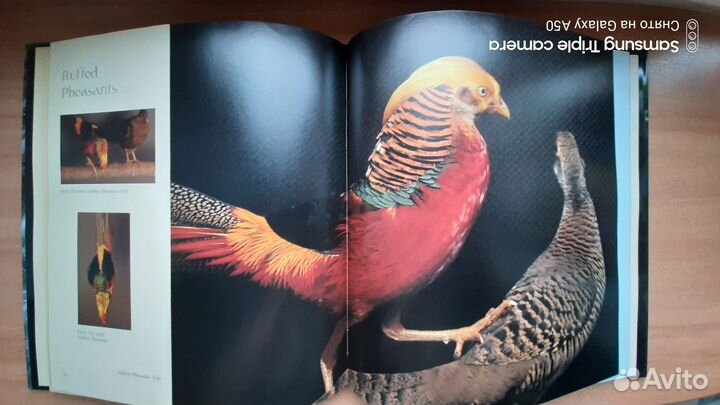 Книги о рыбалке. Вязание мушек №1