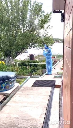 Обработка от тараканов, клопов, муравьев, мышей