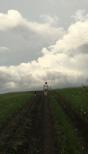 Участок 2,47 га (СНТ, ДНП)