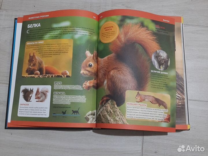 Большая детская энциклопедия