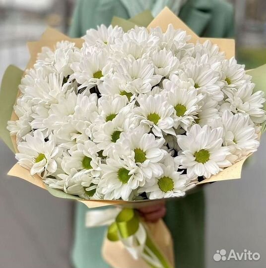 Хризантема Букеты доставка цветов