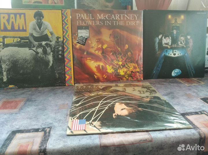 Wings. paul mccartney
