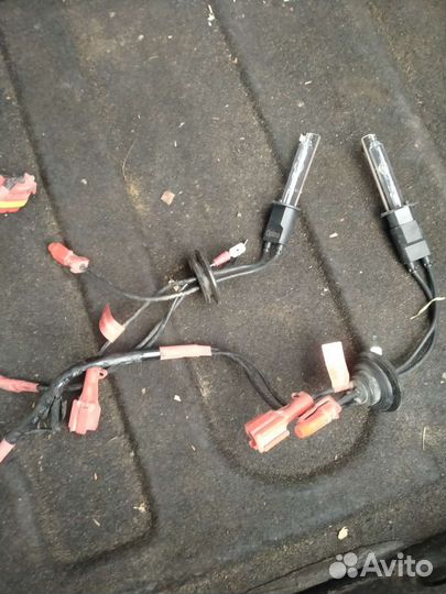 Ксеноновые лампы h1 5000k