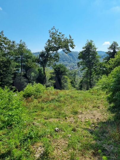 Участок 5 сот. (СНТ, ДНП)