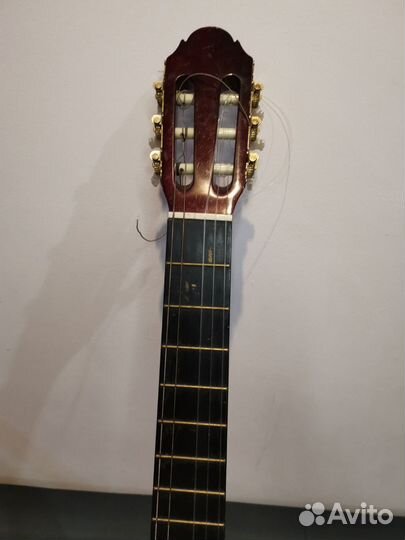 Гитара Foxtrot 851