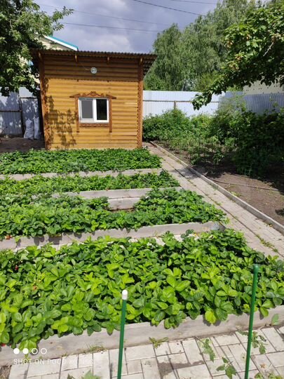 Дом 12 м² на участке 4 сот.