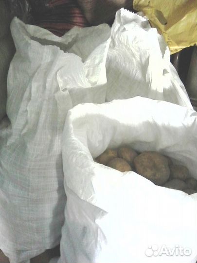 Продаю картофель на корм животным