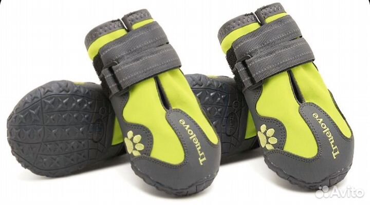 Обувь для собак