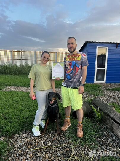 Дрессировка собак с проживанием