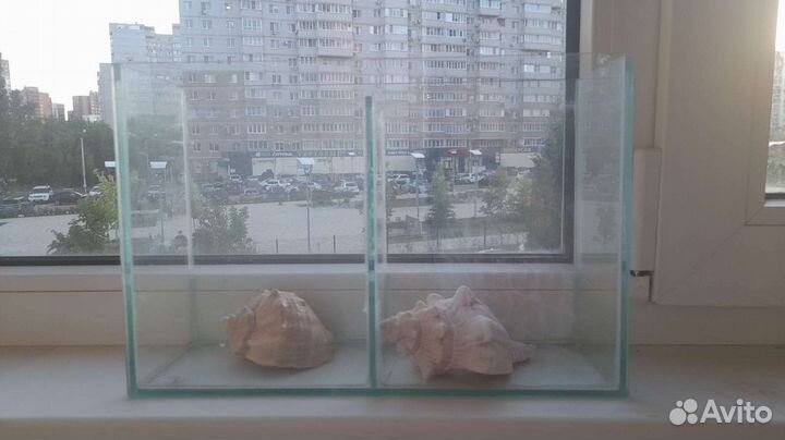 Аквариум для петушков