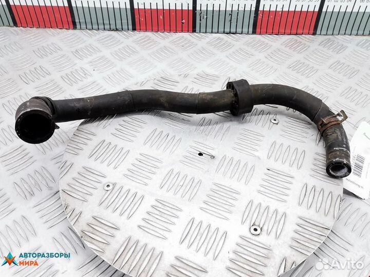 Патрубок радиатора Audi A3 8L 2000
