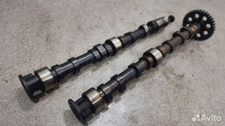 Пара распредвалов впуск выпуск.4 caxc VW Jetta 6