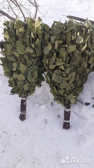 Березовые веники