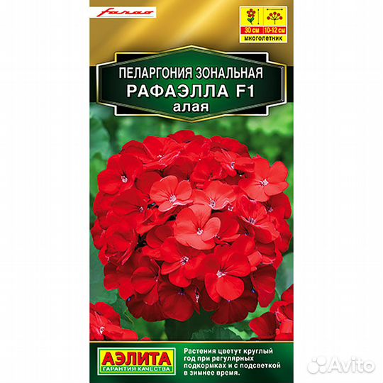 Пеларгония Рафаэлла Алая зональная F1