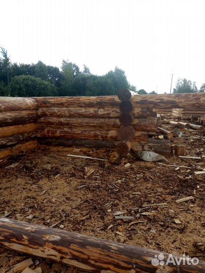 Срубы, домов и бань любых размеров