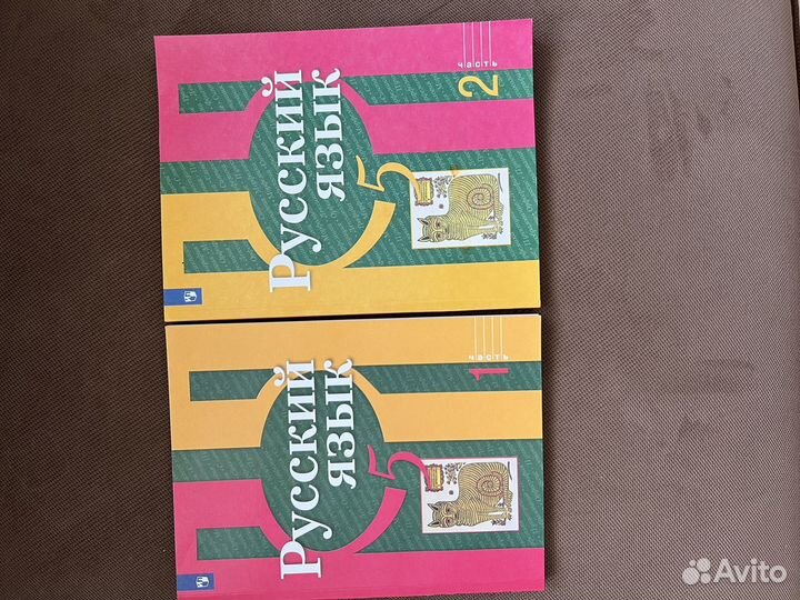 Учебники по русскому языку за 5 класс Рыбченкова