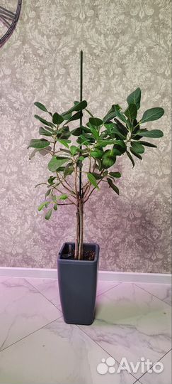 Крупномеры обновлено 23.09