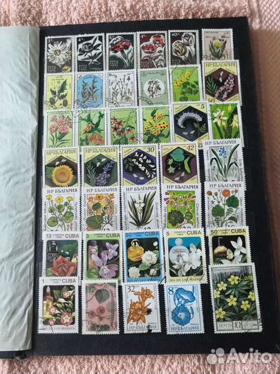 Почтовые марки. Флора