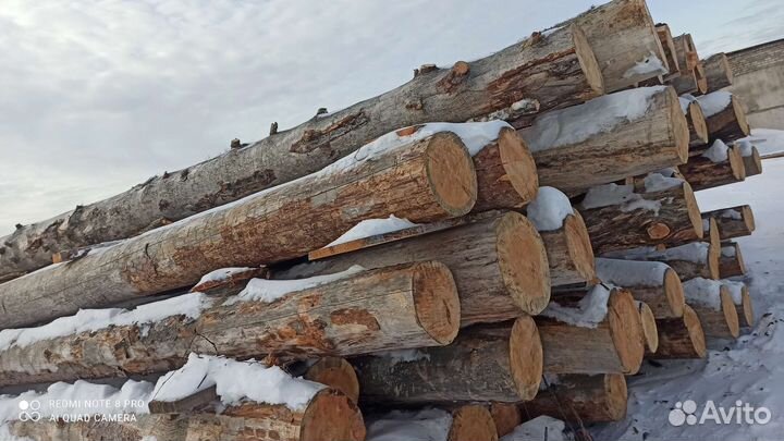 Бревно кругляк. Кело в наличии 30м3