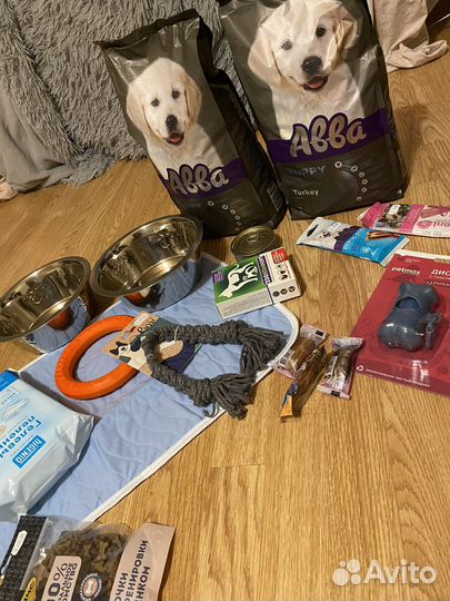 Все для собак