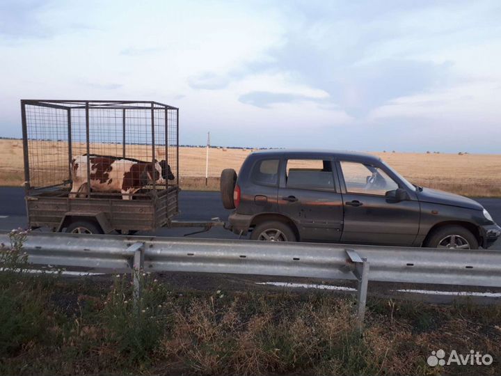 Перевозка животных