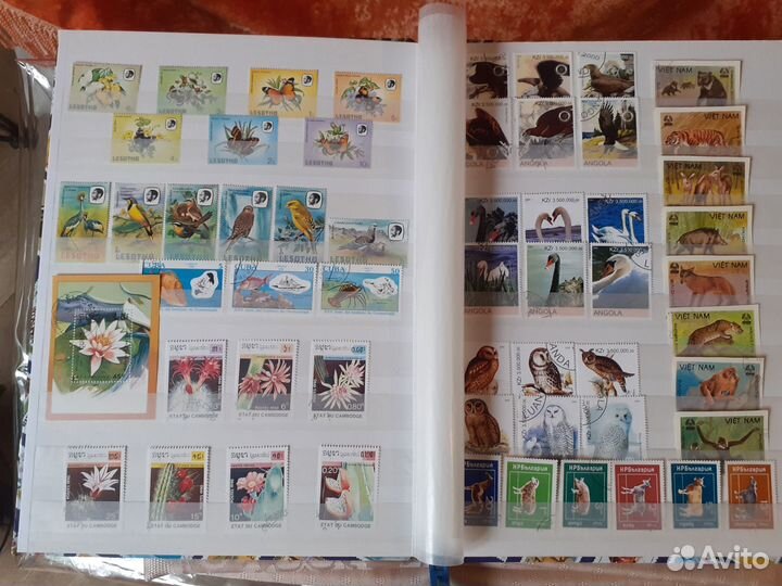 Марки,фауна,флора