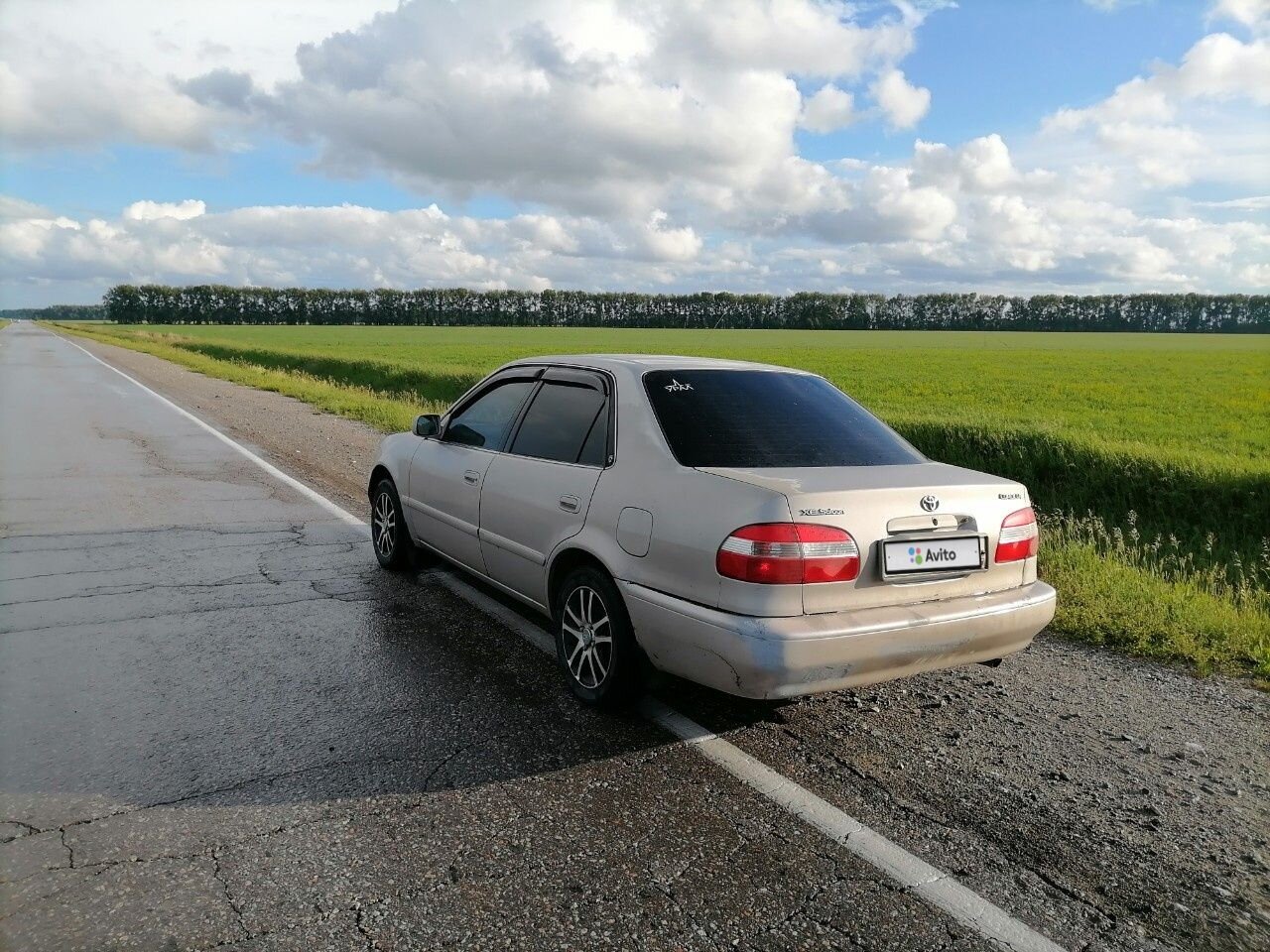 Toyota Corolla: фото владельца