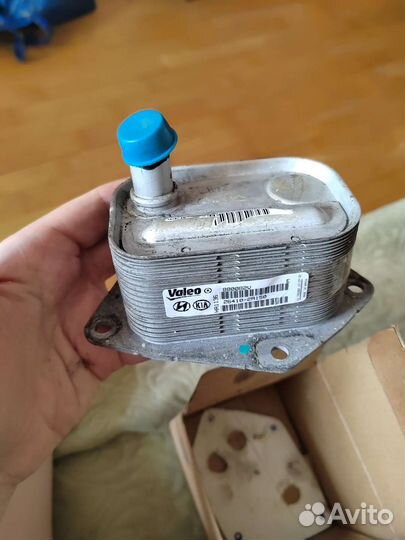 Радиатор масляный hyundai getz