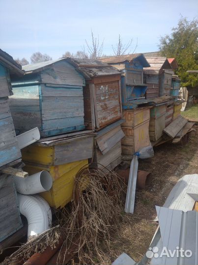 Ульи для пчел