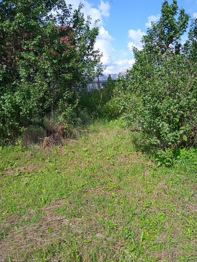 Дом 54,8 м² на участке 34 сот.