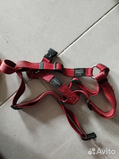 Ошейники, шлейки, поводки, рулетка