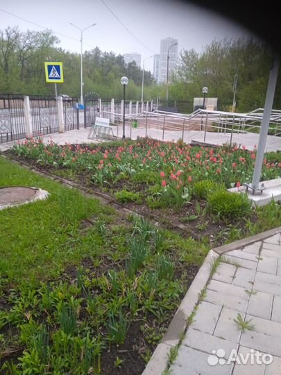 Коробка мужская 18+