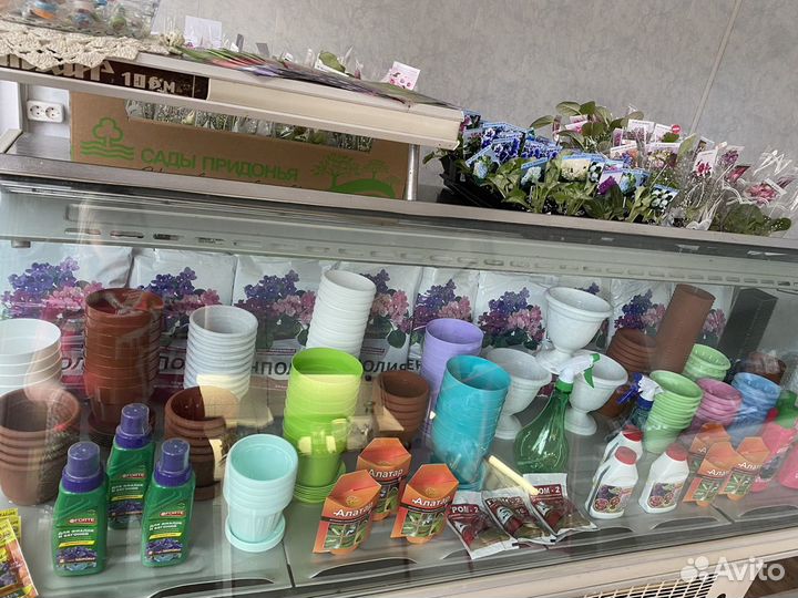 Магазин фиалок «фиалка на волге»