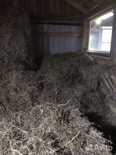 Сено в рулонах 2023