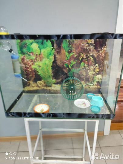 Аквариум