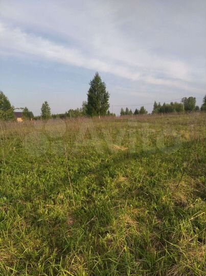 Участок 15 сот. (ИЖС)