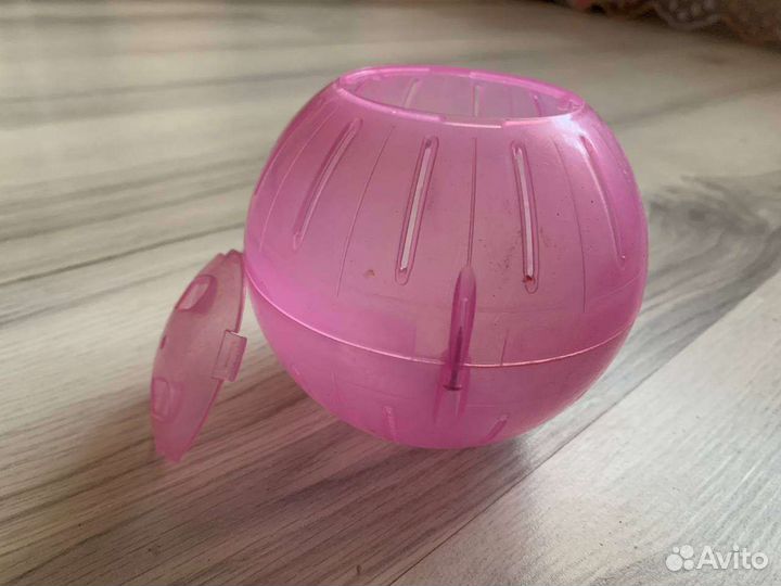 Шар, прогулка для хомяка