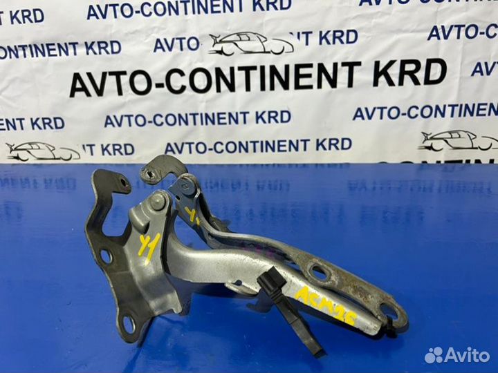 Петля капота Toyota Ipsum ACM26 2AZ