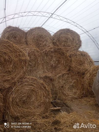 Сено в рулонах, в мешках, сенный размол