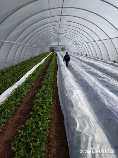 Агроволокно