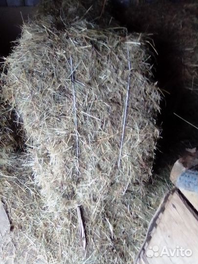 Сено разнотравье