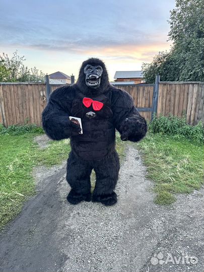 Горилла поздравит