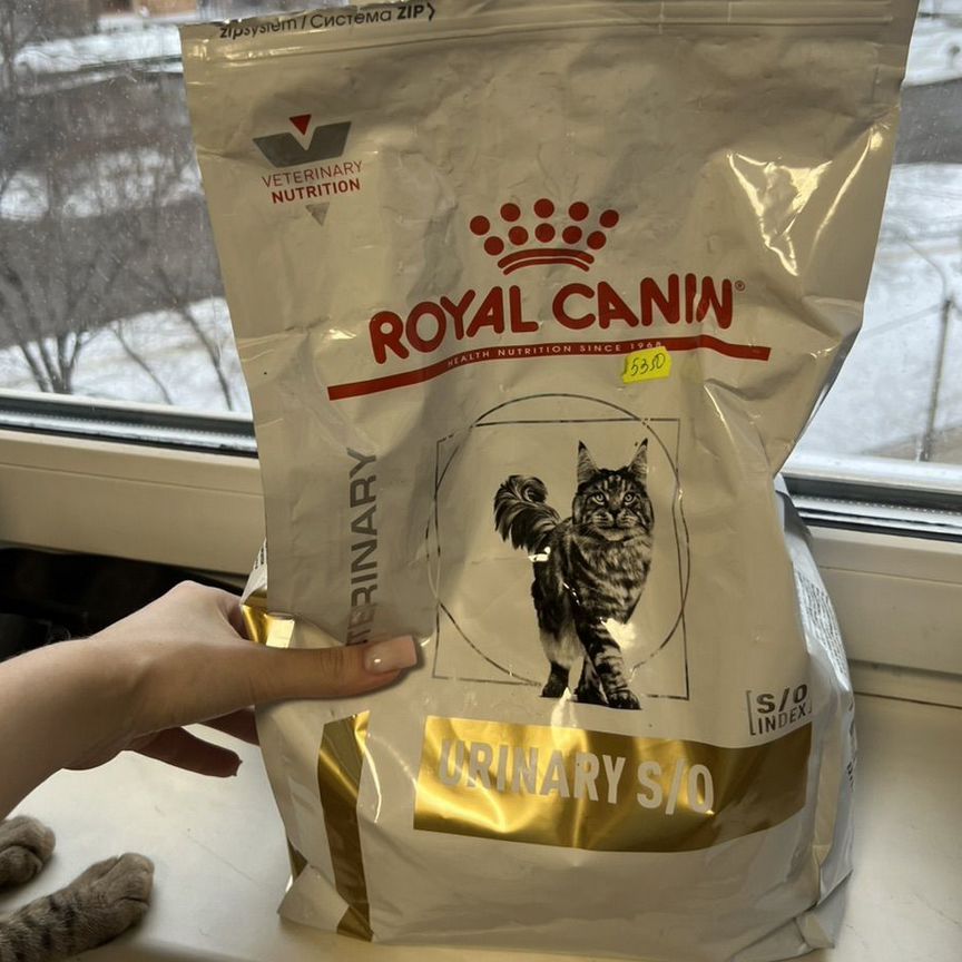 Корм для кошек royal canin urinary s o