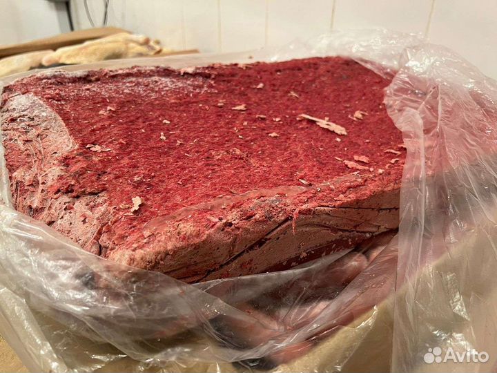 Корма для животных