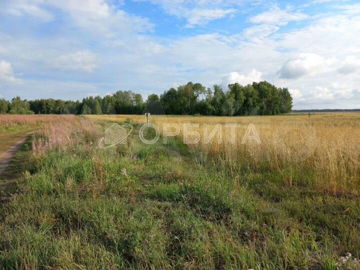 Участок 8,4 сот. (СНТ, ДНП)