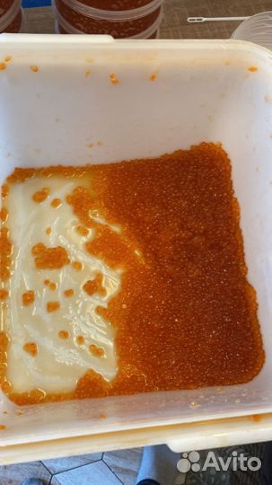 Красная икра кеты