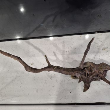 Коряга в аквариум