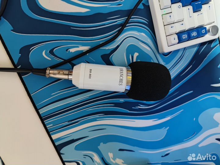 Микрофон bm 800